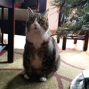 Meet your Posher, Emma